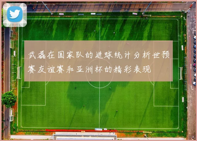 武磊在国家队的进球统计分析世预赛友谊赛和亚洲杯的精彩表现